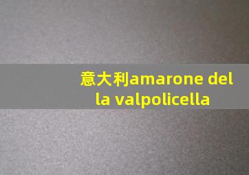 意大利amarone della valpolicella